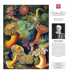 Ernst Haeckel - Puzzle Imagination Sea Anemones/Stworzenia morskie (1000 pièces)
