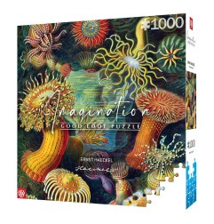 Ernst Haeckel - Puzzle Imagination Sea Anemones/Stworzenia morskie (1000 pièces)