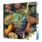Ernst Haeckel - Puzzle Imagination Sea Anemones/Stworzenia morskie (1000 pièces)