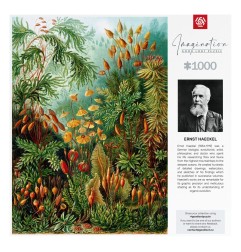 Ernst Haeckel - Puzzle Imagination Muscinae (1000 pièces)