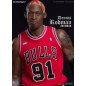 NBA Collection - Figurine Real Masterpiece 1/6 Dennis Rodman Limited Retro Editon 33 cm