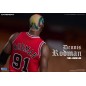 NBA Collection - Figurine Real Masterpiece 1/6 Dennis Rodman Limited Retro Editon 33 cm