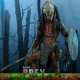 Prey - Figurine 1/6 Feral Predator 37 cm