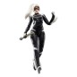 Spider-Man 2 Marvel Legends Gamerverse - Figurine Felicia Hardy (Black Cat) 15 cm