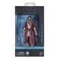 Star Wars: Ahsoka Black Series - Figurine Ezra Bridger (Peridea) 15 cm Star Wars: Ahsoka Black Series - Figurine Ezra Bridger (Peridea) 15 cm