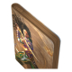 Ultimate Guard - Zipfolio 360 Xenoskin Magic: The Gathering Tarkir: Dragonstorm Descendant of Storms
