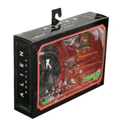 Alien - : Romulus accessoires pour figurines Accessory Pack