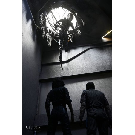 Alien: Romulus - Figurine Deluxe Suspended Lab Xenomorph XX121 18 cm