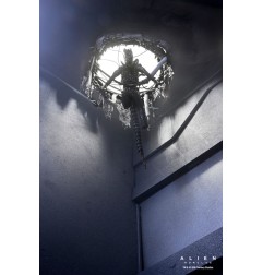 Alien: Romulus - Figurine Deluxe Suspended Lab Xenomorph XX121 18 cm