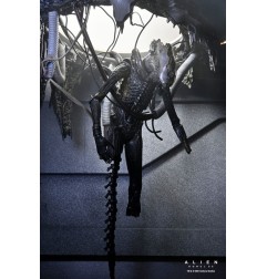 Alien: Romulus - Figurine Deluxe Suspended Lab Xenomorph XX121 18 cm