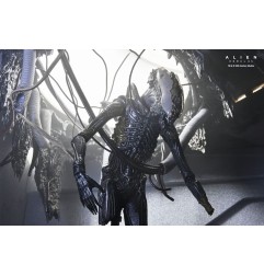Alien: Romulus - Figurine Deluxe Suspended Lab Xenomorph XX121 18 cm