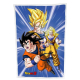 Dragon Ball - Couverture polaire Dragon Ball Ver. 1 100 x 150 cm