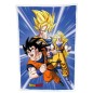 Dragon Ball - Couverture polaire Ver. 1 100 x 150 cm