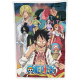 One Piece - Couverture polaire One Piece Ver. 4 100 x 150 cm