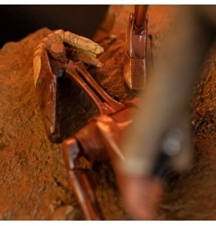 Star Wars - Statuette 1/10 Art Scale Mace Windu 18 cm