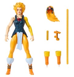 Les Maîtres de l'Univers  x ThunderCats - Figurine Cheetara 14 cm