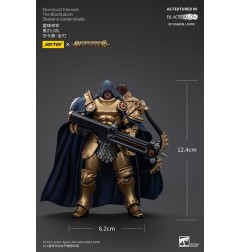Warhammer - Age of Sigmar Actionfigur Stormcast Eternals The Blacktalons Shakana Goldenblade 20 cm