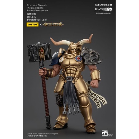 Warhammer - Age of Sigmar Actionfigur Stormcast Eternals The Blacktalons Rostus Oxen hammer 20 cm