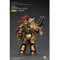 Warhammer The Horus Heresy - Figurine 1/18 Legio Custodes Aquilon Terminator Squad Aquilon avec twin-linked Adrathic D14 cm