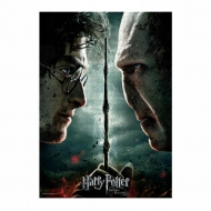 Harry Potter - Puzzle Harry vs Voldemort