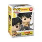 Ranma - 1/2 POP! Animation Vinyl figurine Ryoga 9 cm