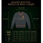 Harry Potter - Sweat Gryffindor  