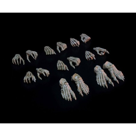 Mythic Legions : Necronominus - Accessoires pour figurines Skeletons of Necronominus Hands/Feet Pack