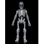 Mythic Legions - Graveyard Skeletons  Actionfigures 4-Pack Graveyard Skeletons