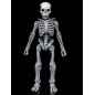 Mythic Legions - Graveyard Skeletons  Actionfigures 4-Pack Graveyard Skeletons