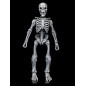 Mythic Legions - Graveyard Skeletons  Actionfigures 4-Pack Graveyard Skeletons