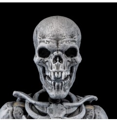 Mythic Legions - Graveyard Skeletons  Actionfigures 4-Pack Graveyard Skeletons