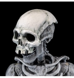 Mythic Legions - Graveyard Skeletons  Actionfigures 4-Pack Graveyard Skeletons