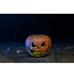 Halloween 6 : La Malédiction de Michael Myers - Figurine Ultimate Michael Myers 18 cm