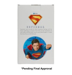 DC Comics - Superman (2025) Head Knocker Superman 21 cm