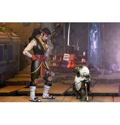 Teenage Mutant Ninja Turtles - : The Last Ronin Action Figure Ultimate Casey Marie with Baby Odyn & Uno 17 cm