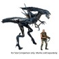 Alien - S Ultra Deluxe Action Figure  Queen 38 cm