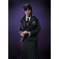 Wednesday - Action Figures 2 Pack  Addams (Nevermore Uniform) and Enid 20 cm