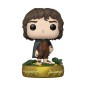 Lord of the Rings - POP! Plus Movies Vinyl Figures Frodo Baggins(GW) 9 cm