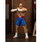 Street Fighter - Ultra  II: The Final Challengers Action Figure 1/12 Sagat 19 cm