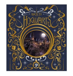 Harry Potter - Lantern Back to Hogwarts