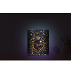 Harry Potter - Lantern Back to Hogwarts