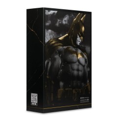 DC Multiverse - Figurine Batman (Arkham City) Knightmare Edition (Gold Label) 19 cm