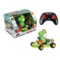 Super Mario Kart - Voiture télécommandée RC 1/18 2,4GHz Pipe Kart Yoshi