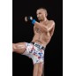UFC - Posed PVC Statue Max Holloway 18 cm