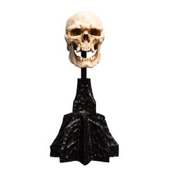 Lord of the Rings - Mini Statue Skull of a Mordor Orc 14 cm