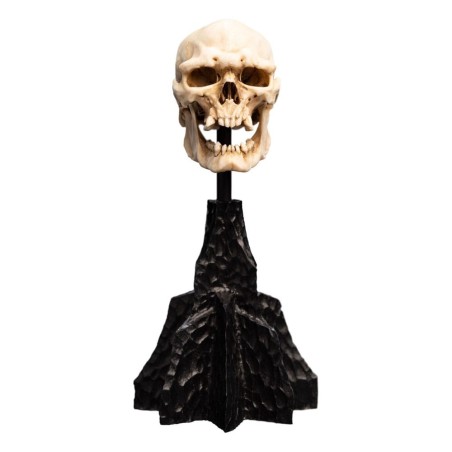 Lord of the Rings - Mini Statue Skull of a Mordor Orc 14 cm