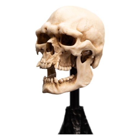 Le Seigneur des Anneaux - Statuette Skull of a Mordor Orc 14 cm