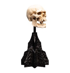 Le Seigneur des Anneaux - Statuette Skull of a Mordor Orc 14 cm