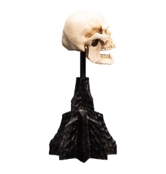 Lord of the Rings - Mini Statue Skull of a Mordor Orc 14 cm