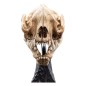 Le Seigneur des Anneaux - Statuette Skull of a Warg 20 cm Le Seigneur des Anneaux - Statuette Skull of a Warg 20 cm